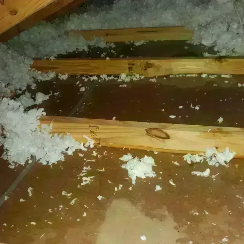 Attic Water Damage in Spruce Pine, NC